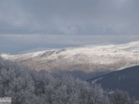 2018-01-13 M. Orsello 095